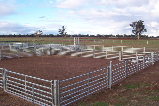 ألواح السياج الماشية المجلفنة المصنوعة من الصلب الكربوني 1.7 متر ، لوحات الماعز المحمولة