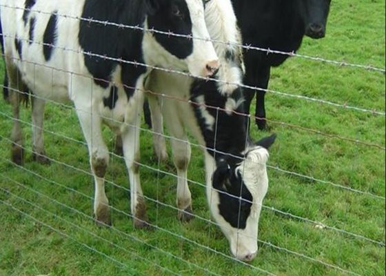 الماشية المجلفنة تمنع المفصل المفصلي السياج الميداني للمزرعة