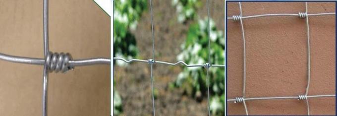 آخر أخبار الشركة سياج حقل مجلفن كامل 1.2 م عالي الأبقار  1