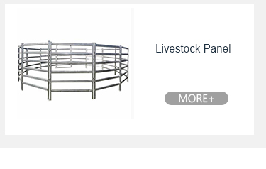 الحواجز الفولاذية المسالكة الثقيلة الحفاظ المنخفض 18