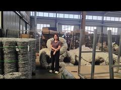 تغليف الأسلاك الشائكة فوق سياج مضاد للتسلق