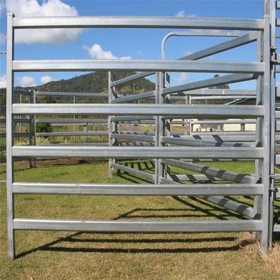 سعر المصنع الثقيلة انخفض الساخنة المجلفن المستخدمة لوحات الحصان كورال الماشية