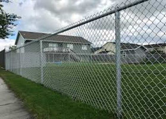 8 أقدام ملفوفة بـ PVC مغلفة بـ Cyclone Wire Mesh chain link Fence Roll للفلبين