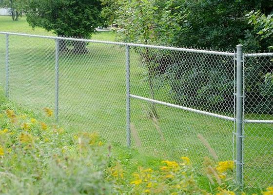8 أقدام ملفوفة بـ PVC مغلفة بـ Cyclone Wire Mesh chain link Fence Roll للفلبين