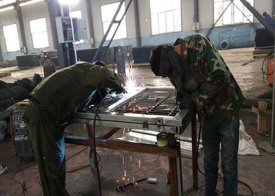 حديقة تزيين أسلاك الفولاذ ثلاثية الأبعاد منخفضة المكسوة السور في سلفر