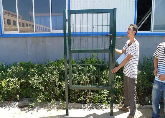 حديقة تزيين أسلاك الفولاذ ثلاثية الأبعاد منخفضة المكسوة السور في سلفر