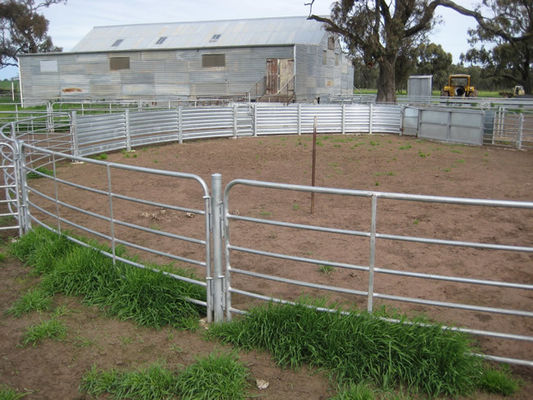ألواح السياج الماشية المغلفنة بالغمس الساخن 1.6 متر مع دبابيس / عروات ملحقة