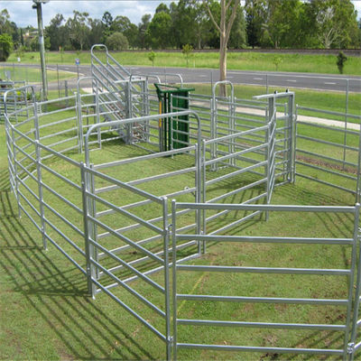 60x60mm العروات القضبان ودبوس نموذج مربع الأنبوب 60ft ارتفاع لوحة الماشية للخيول