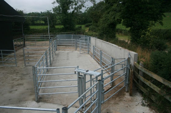 ألواح السياج الماشية بطول 2.1 متر ISO لمزرعة الثروة الحيوانية