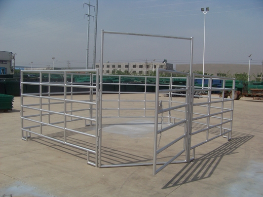 Iso9001 Cetifiction 5ft لوحات سياج أسلاك المواشي جولة الأنابيب لحام المجلفن